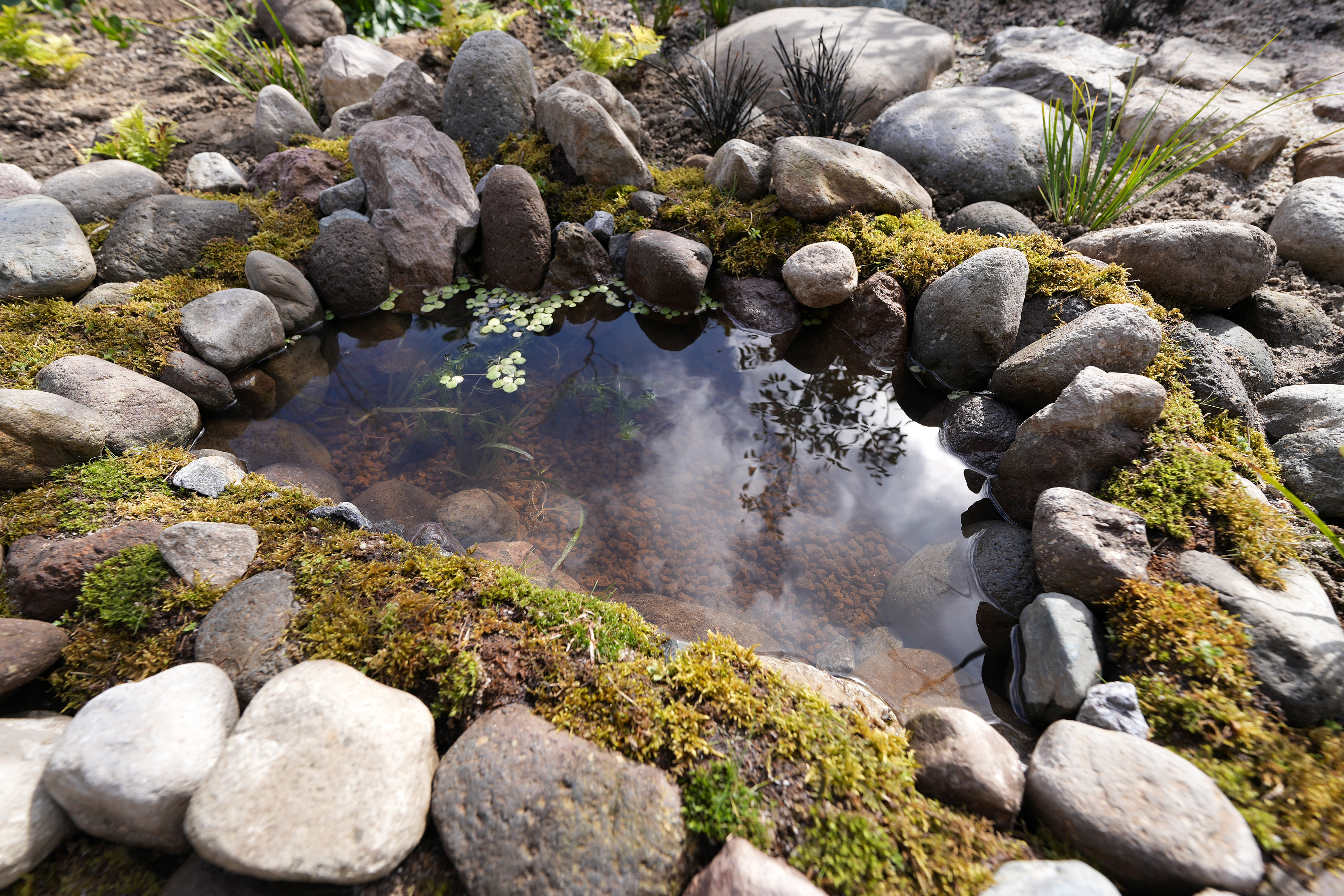 西福原の家 / グラムデザイン一級建築士事務所